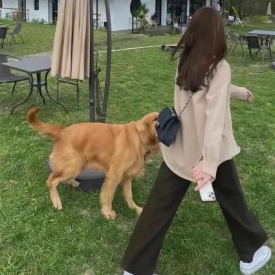 父子亲情